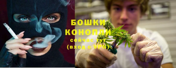 стафф Болотное