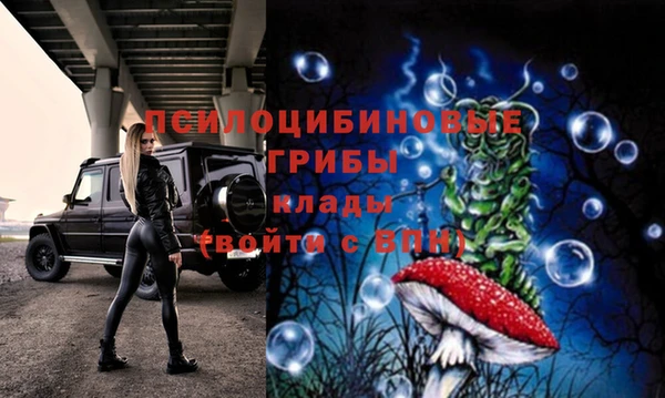 спиды Нязепетровск