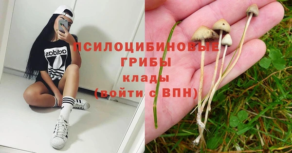 прущий лед Няндома