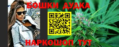 индика Ипатово