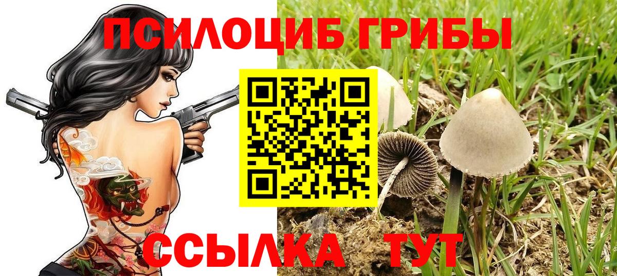 Псилоцибиновые грибы ЛСД Костомукша