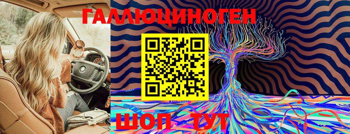 Костомукша  Псилоцибиновые грибы Cubensis  Вход с VPN 